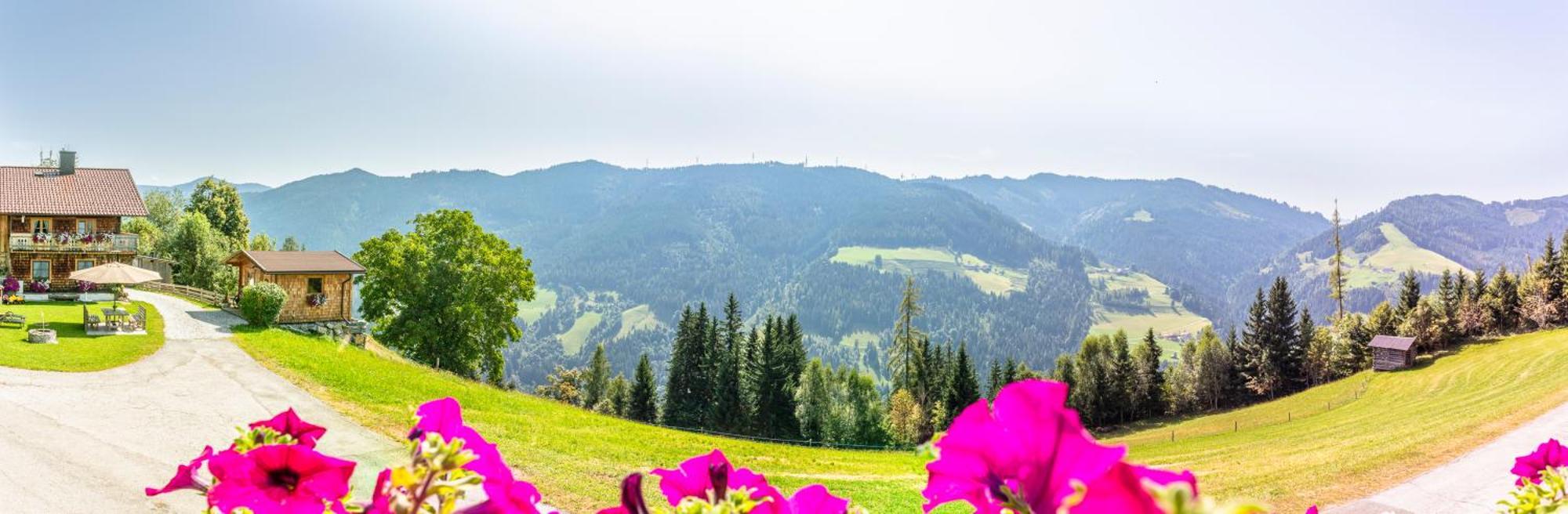 Landhaus Hochkoenig Mühlbach am Hochkönig Esterno foto
