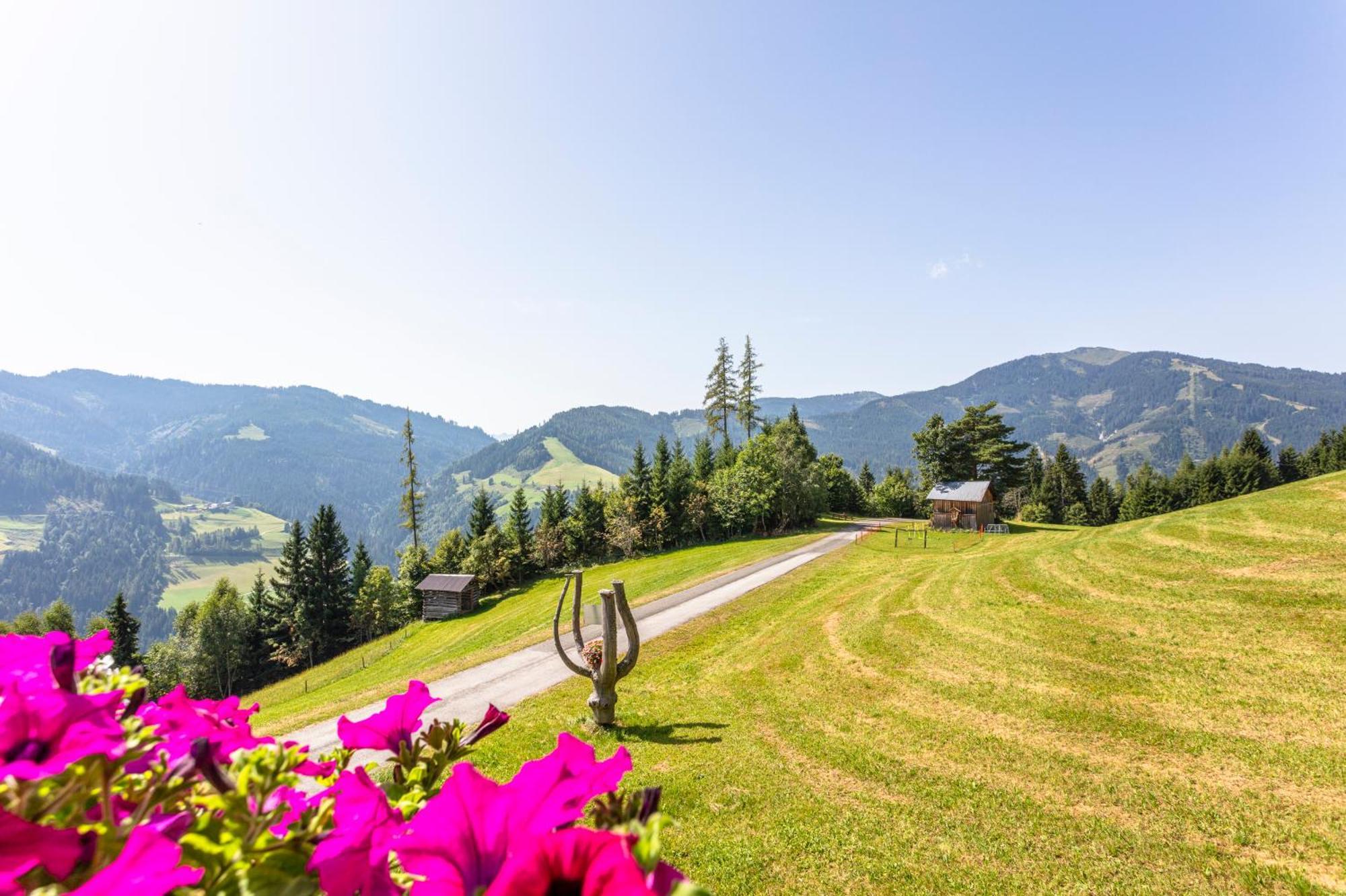 Landhaus Hochkoenig Mühlbach am Hochkönig Esterno foto
